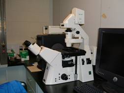 Zeiss Epifluorescence scope