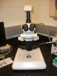  Leica S8 Apo stereomicroscope.