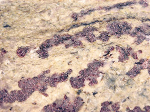 Uht gneiss with large garnets